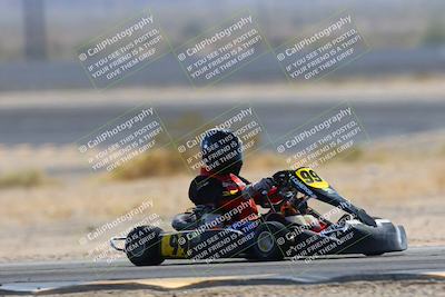 media/Mar-29-2025-Pro Autosports (Sat) [[89b1c017ad]]/6-Purple Group/Qualifying Session/